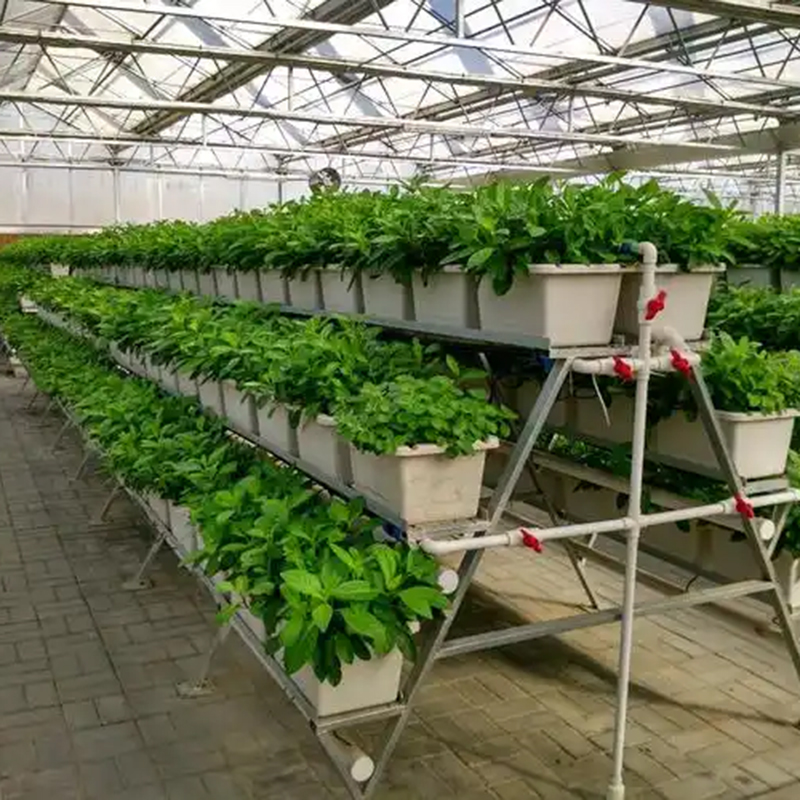 巴中市植物工厂水培设备 - 价格